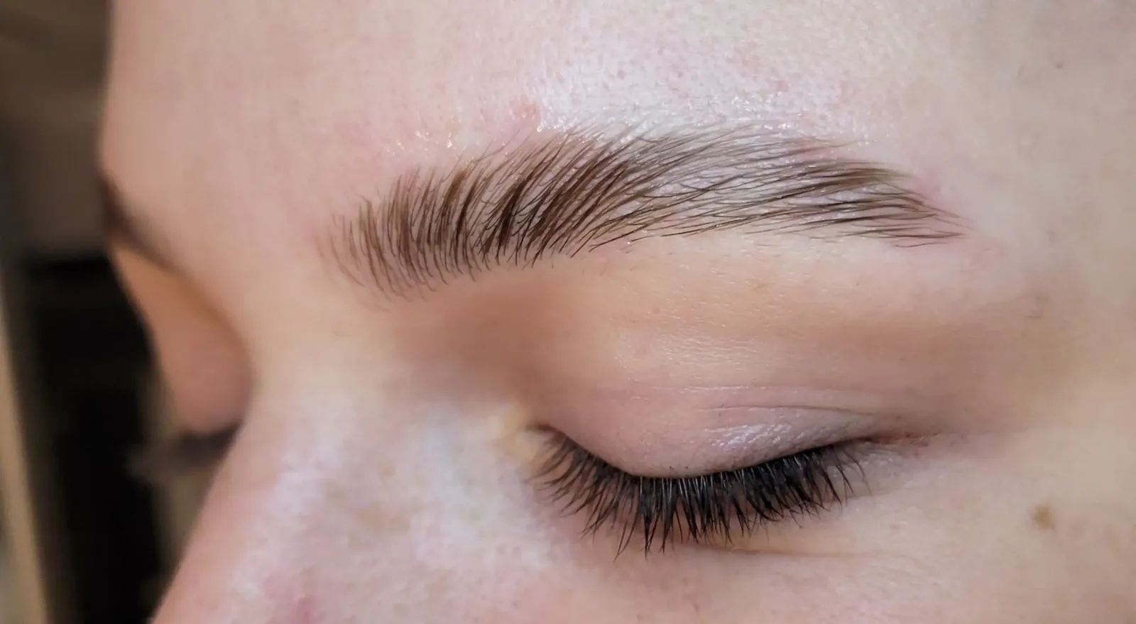 Laminated, softly shaped brow after a Fringe brow service
